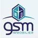 logo GSM Immobilier, Partenariat avec François Gautard Immobilier, spécialisé en gestion locative et syndic sur Chambray les Tours 37170 et en Indre et Loire 37