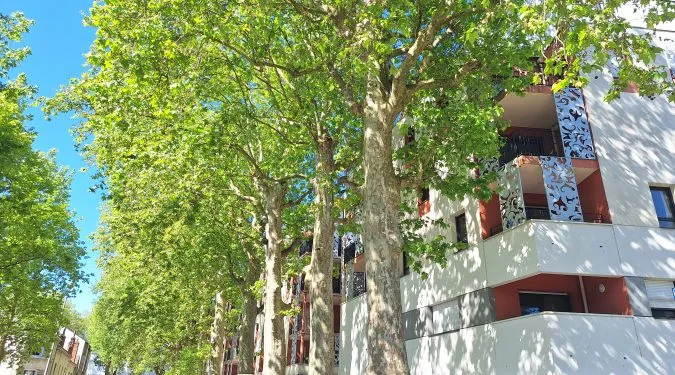  façade immeuble Tours Centre avec Appartement Type 2 pour investir à proximité de l'hôpital | GAUTARD Immobilier transactions